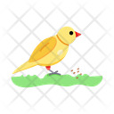 پیش‌نمایش فایل bird-feeding-7478226 از پک مزرعه