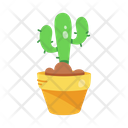 پیش‌نمایش فایل cactus-pot-7478211 از پک مزرعه