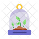 پیش‌نمایش فایل glass-sapling-7478261 از پک مزرعه