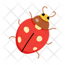 پیش‌نمایش فایل ladybug-7478215 از پک مزرعه