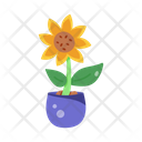 پیش‌نمایش فایل sunflower-pot-7478217 از پک مزرعه