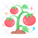 پیش‌نمایش فایل growing-tomatoes-7417904 از پک استیکرهای بامزه