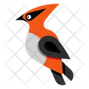 پیش‌نمایش فایل bird-7456028 از پک استیکرهای پرنده