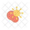 پیش‌نمایش فایل infections از پک پزشکی و مراقبت بهداشتی ۲
