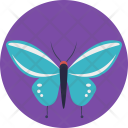 پیش‌نمایش فایل butterfly-464 از پک زندگی دریایی و حیوانات ۲