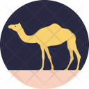 پیش‌نمایش فایل camel-89 از پک زندگی دریایی و حیوانات ۲