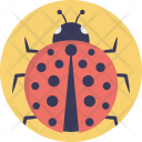 پیش‌نمایش فایل coccinellidae از پک زندگی دریایی و حیوانات ۲