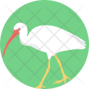 پیش‌نمایش فایل crane-bird-1 از پک زندگی دریایی و حیوانات ۲