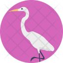 پیش‌نمایش فایل crane-bird از پک زندگی دریایی و حیوانات ۲