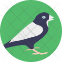 پیش‌نمایش فایل crow-22 از پک زندگی دریایی و حیوانات ۲