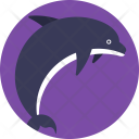 پیش‌نمایش فایل dolphin-114 از پک زندگی دریایی و حیوانات ۲