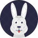 پیش‌نمایش فایل rabbit-175 از پک زندگی دریایی و حیوانات ۲