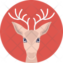 پیش‌نمایش فایل reindeer-272 از پک زندگی دریایی و حیوانات ۲