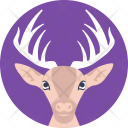 پیش‌نمایش فایل reindeer-273 از پک زندگی دریایی و حیوانات ۲
