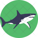 پیش‌نمایش فایل shark-102 از پک زندگی دریایی و حیوانات ۲