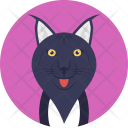 پیش‌نمایش فایل black-feline-1 از پک زندگی دریایی و حیوانات ۱