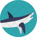 پیش‌نمایش فایل dolphin-115 از پک زندگی دریایی و حیوانات ۱
