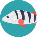 پیش‌نمایش فایل fish-844 از پک زندگی دریایی و حیوانات ۱