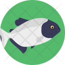 پیش‌نمایش فایل fish-846 از پک زندگی دریایی و حیوانات ۱