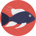 پیش‌نمایش فایل fish-849 از پک زندگی دریایی و حیوانات ۱