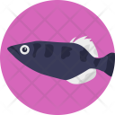 پیش‌نمایش فایل fish-850 از پک زندگی دریایی و حیوانات ۱
