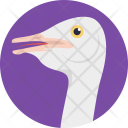 پیش‌نمایش فایل ostrich-9 از پک زندگی دریایی و حیوانات ۱