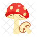 پیش‌نمایش فایل toadstools-7485771 از پک غذای سالم