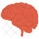 پیش‌نمایش فایل human-brain-48 از پک سئو و بازاریابی ۱