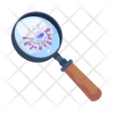 پیش‌نمایش فایل find-7679596 از پک جادو