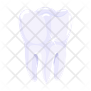 پیش‌نمایش فایل clean-tooth-7807975 از پک دندانپزشکی