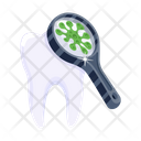 پیش‌نمایش فایل dental-examination-7808026 از پک دندانپزشکی