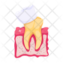 پیش‌نمایش فایل tooth-checkup-7808033 از پک دندانپزشکی