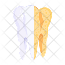 پیش‌نمایش فایل tooth-checkup-7808035 از پک دندانپزشکی