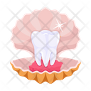 پیش‌نمایش فایل tooth-shell-7808005 از پک دندانپزشکی