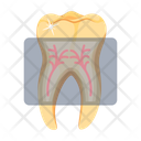 پیش‌نمایش فایل toothache-7807974 از پک دندانپزشکی