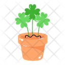 پیش‌نمایش فایل clover-houseplant-7942496 از پک روز سنت پاتریک