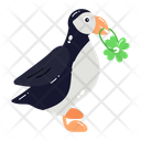 پیش‌نمایش فایل patrick-bird-7942499 از پک روز سنت پاتریک