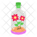 پیش‌نمایش فایل bottle-planter-7975201 از پک روز سبز