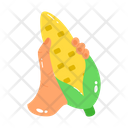 پیش‌نمایش فایل corn-7975203 از پک روز سبز