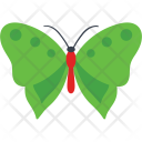 پیش‌نمایش فایل common-olive-wing-butterfly از پک آیکن‌های مسطح پروانه‌ها