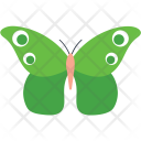 پیش‌نمایش فایل green-clipper-butterfly از پک آیکن‌های مسطح پروانه‌ها