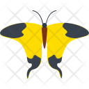 پیش‌نمایش فایل mocker-swallowtail-butterfly از پک آیکن‌های مسطح پروانه‌ها