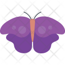 پیش‌نمایش فایل monarch-butterfly-5 از پک آیکن‌های مسطح پروانه‌ها