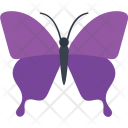 پیش‌نمایش فایل papilio-ulysses-butterfly از پک آیکن‌های مسطح پروانه‌ها