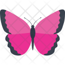 پیش‌نمایش فایل pink-morpho-butterfly-1 از پک آیکن‌های مسطح پروانه‌ها