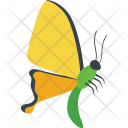 پیش‌نمایش فایل pipevine-butterfly-side-view از پک آیکن‌های مسطح پروانه‌ها