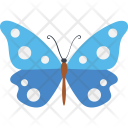 پیش‌نمایش فایل starry-night-cracker-butterfly از پک آیکن‌های مسطح پروانه‌ها