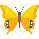 پیش‌نمایش فایل swallowtail-yellow-butterfly از پک آیکن‌های مسطح پروانه‌ها