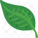 پیش‌نمایش فایل leaf-592 از پک روز شکرگزاری