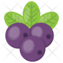 پیش‌نمایش فایل blueberries-16 از پک مواد اولیه غذا